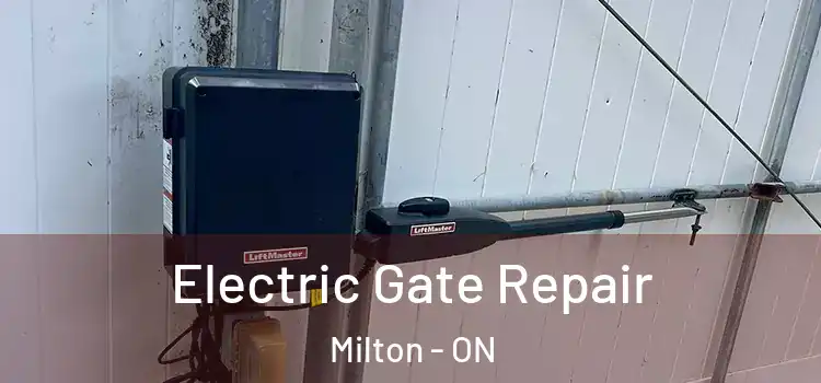 Electric Gate Repair Milton - ON