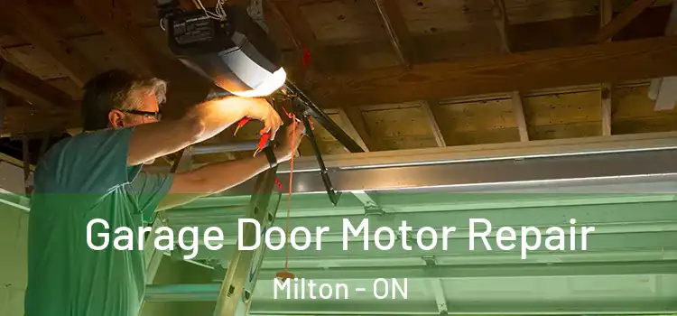  Garage Door Motor Repair Milton - ON