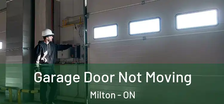  Garage Door Not Moving Milton - ON