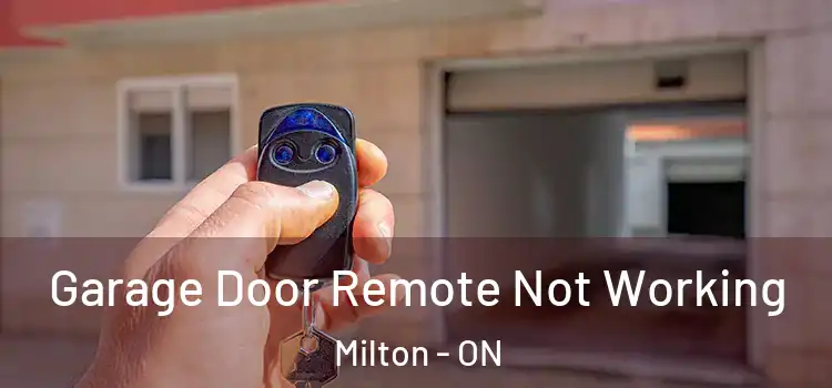  Garage Door Remote Not Working Milton - ON