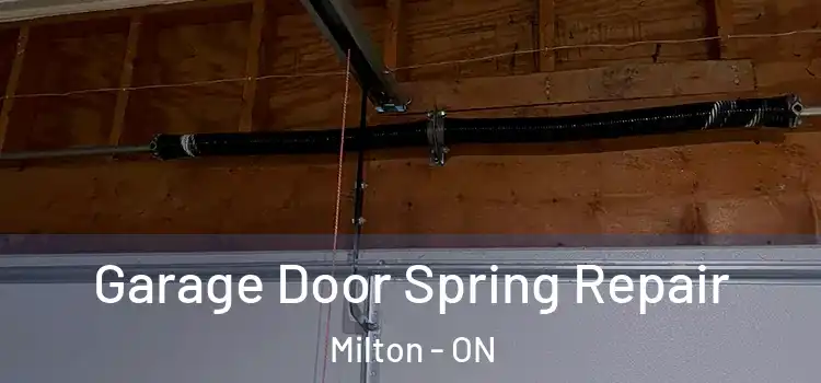  Garage Door Spring Repair Milton - ON