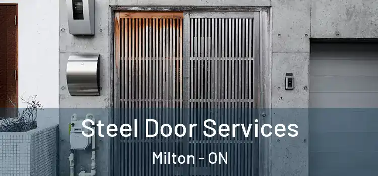 Steel Door Services Milton - ON